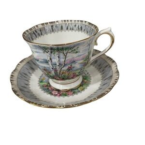 Royal Albert, Silver Birch Teacup and Saucer, Bone China, made in England.